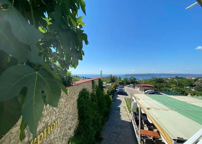 Hayat Ltd * Primorsko